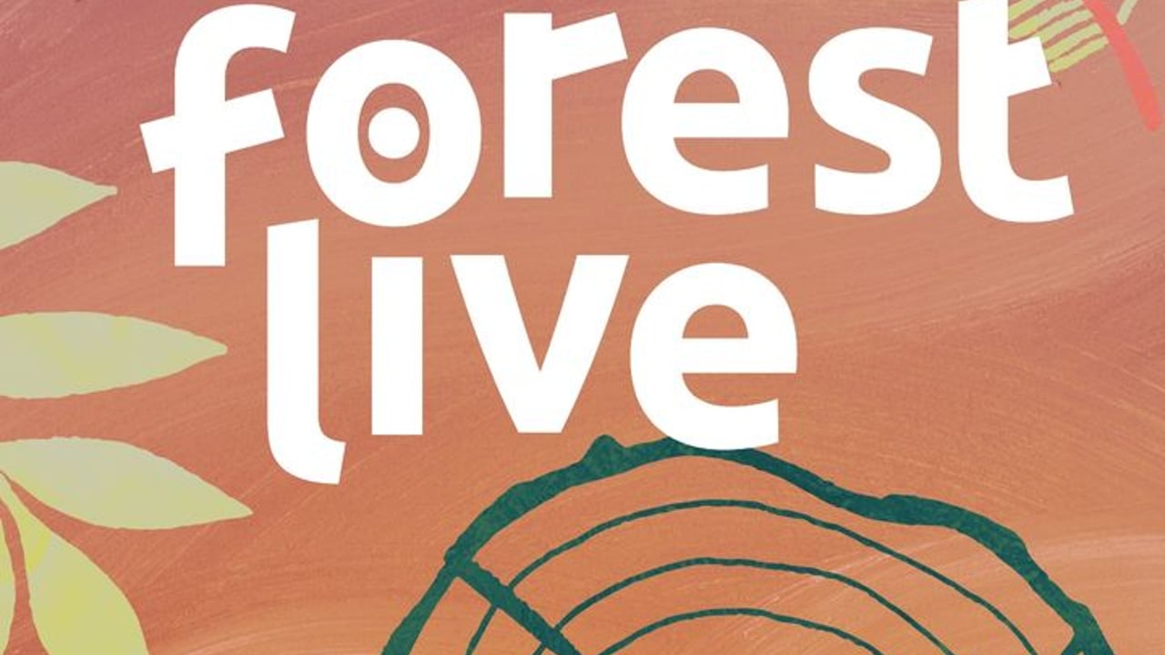Forest Live - Forestry England