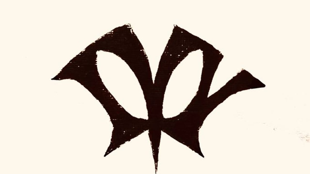 IVY