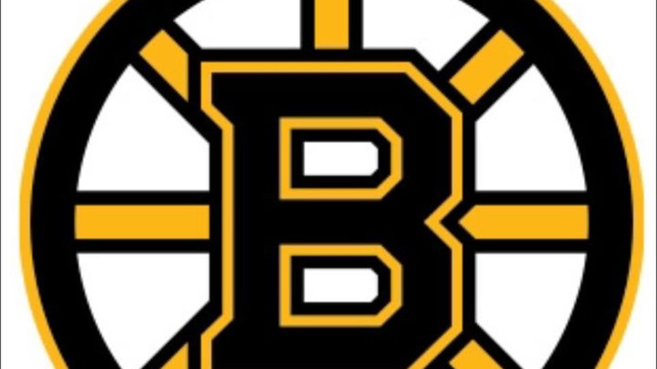 Boston Bruins