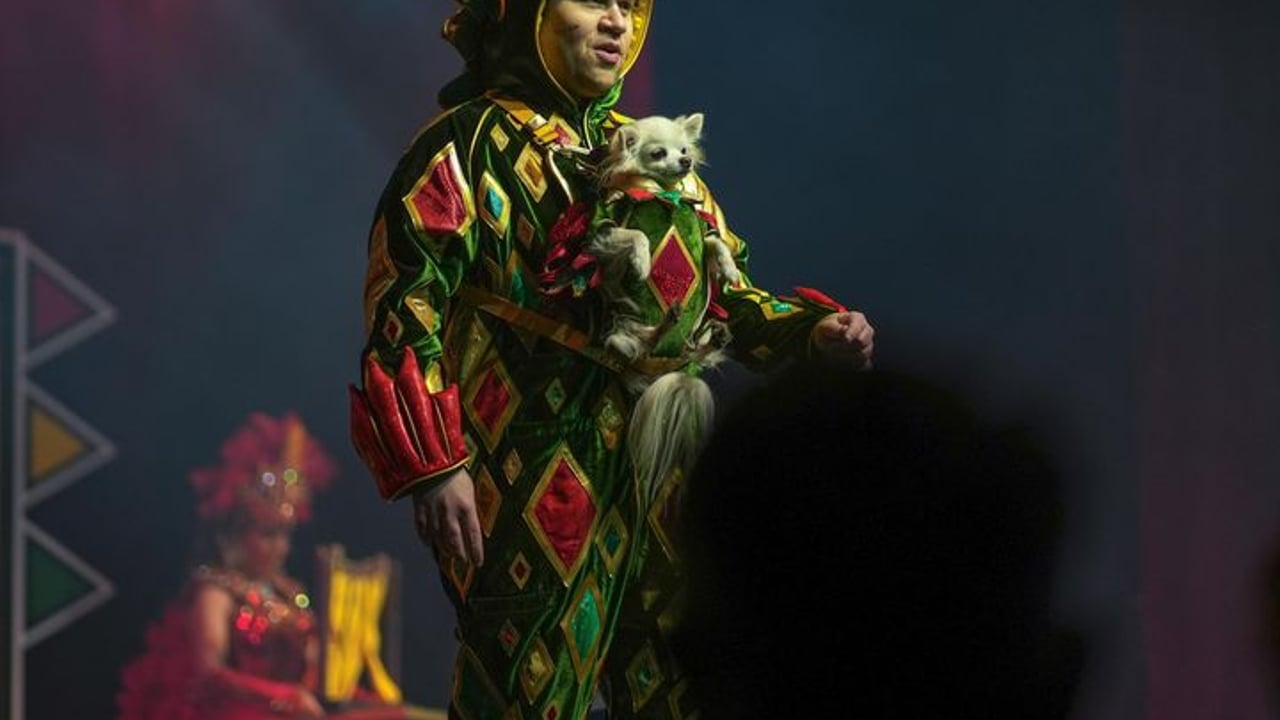 Piff the Magic Dragon