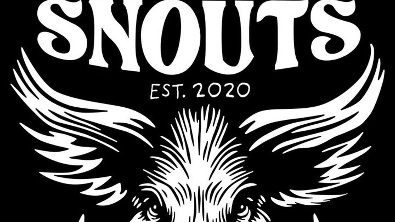 The Snouts Band