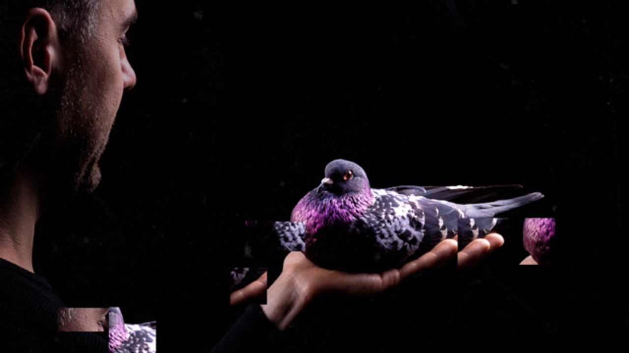 Stimming