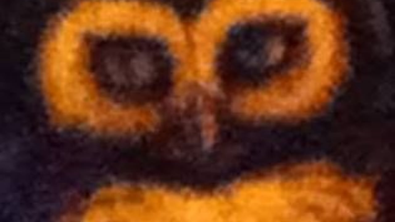Echolyte
