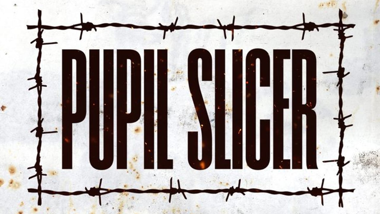 PUPIL SLICER