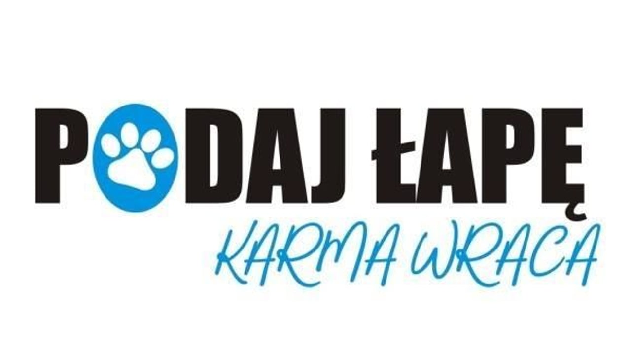 Podaj Łapę Karma Wraca