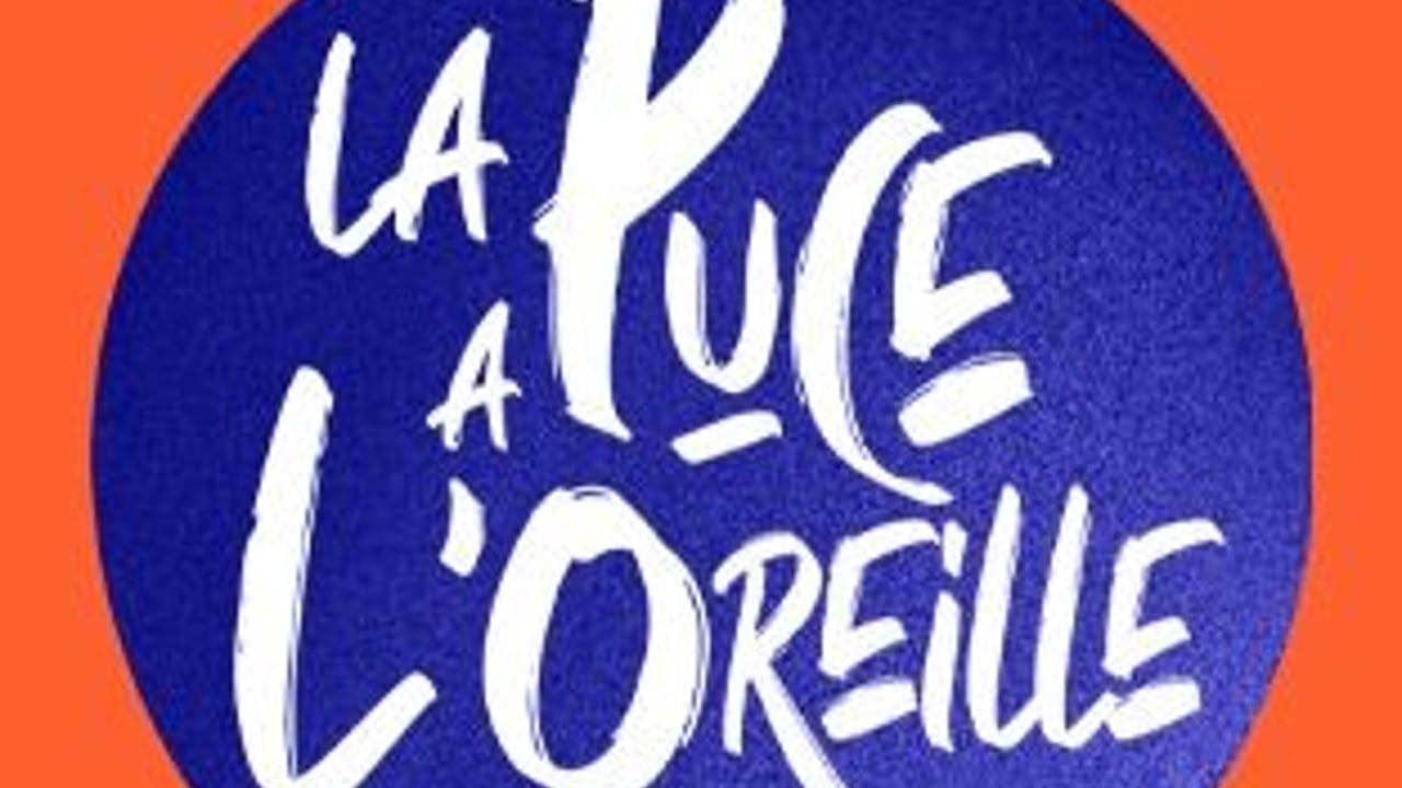 LA PUCE A L'OREILLE