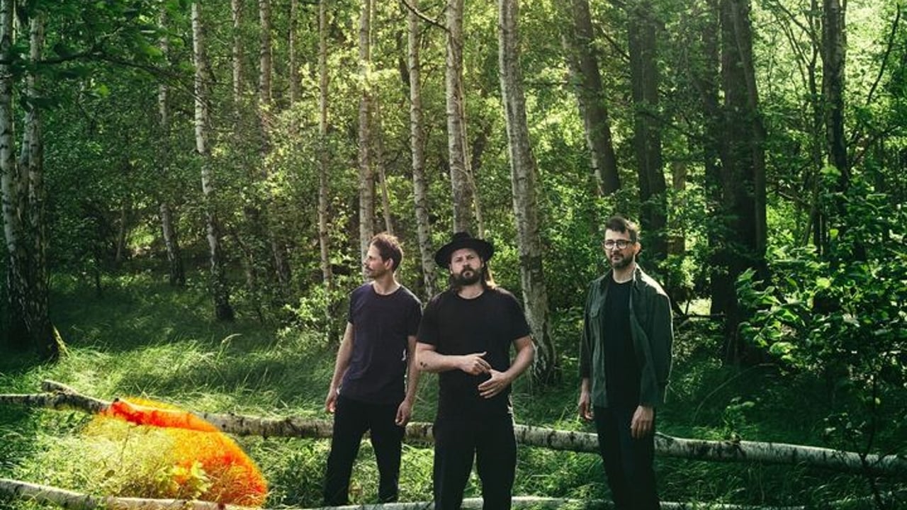 Mighty Oaks