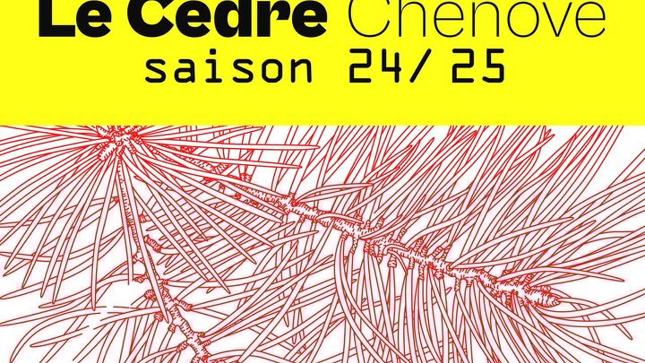 LE CEDRE