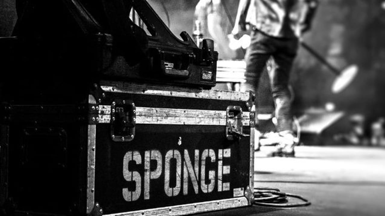 Sponge