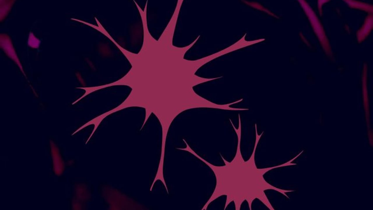 Synapsa