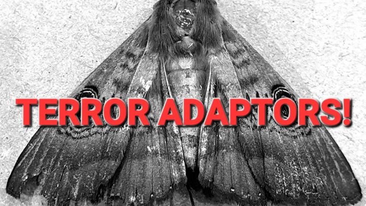 Terror Adaptors