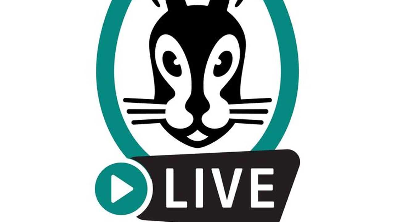 Vaillant Live