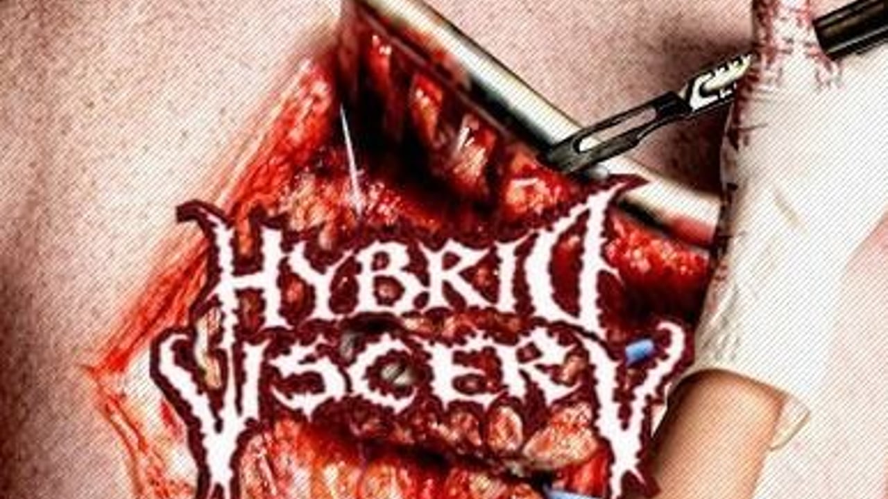 Hybrid Viscery