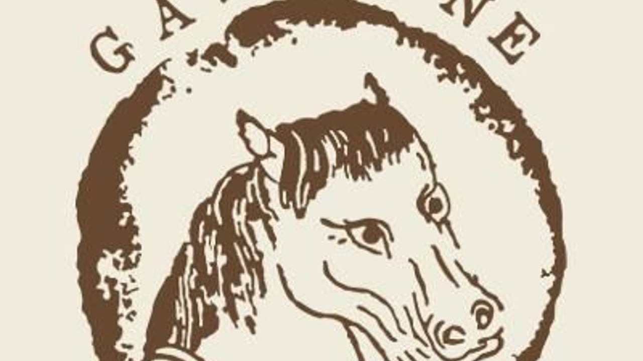 Gasoline Pony
