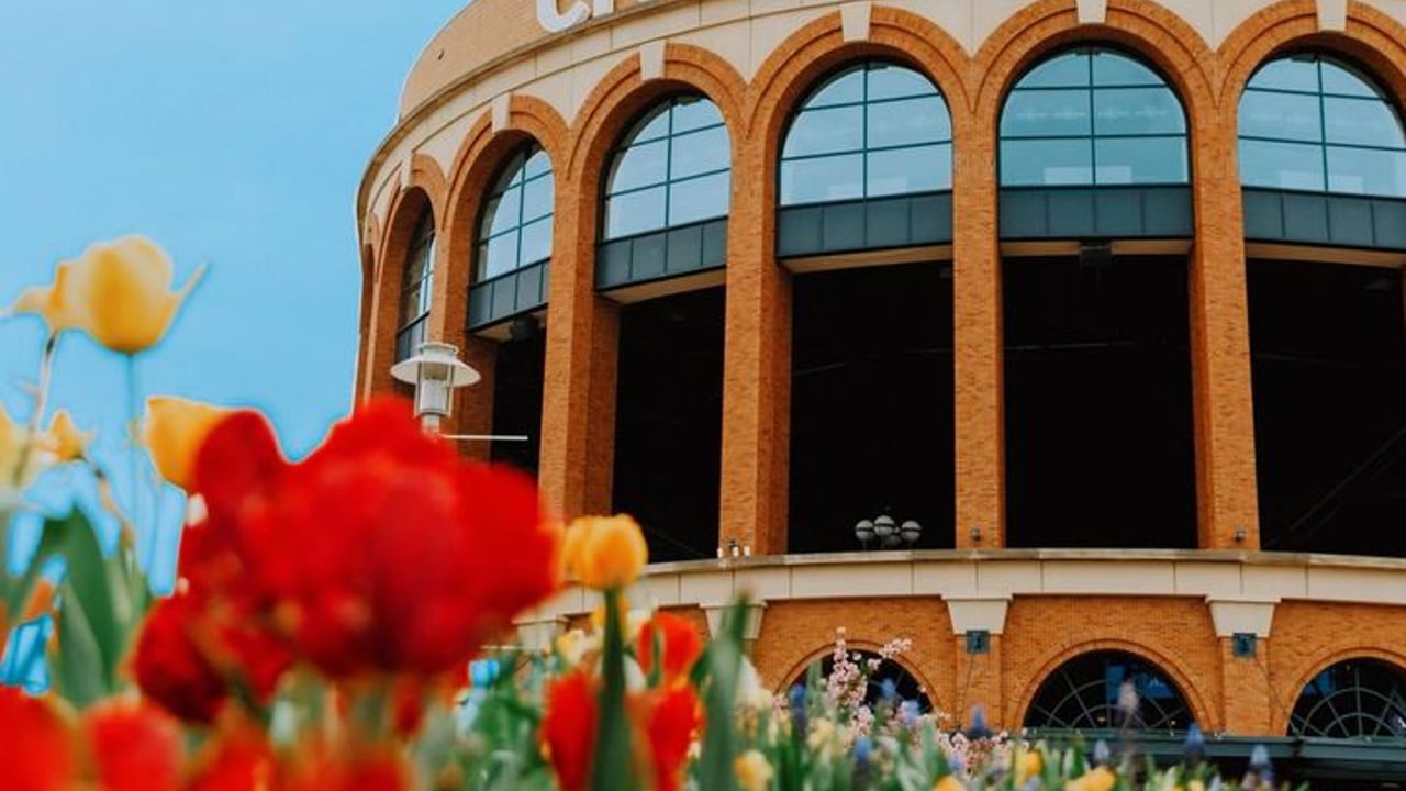 Citi field