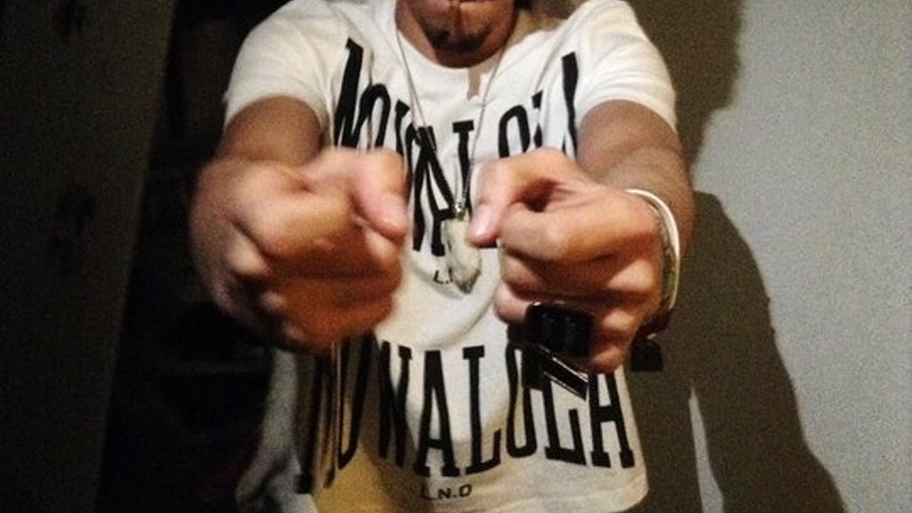 Fakemink