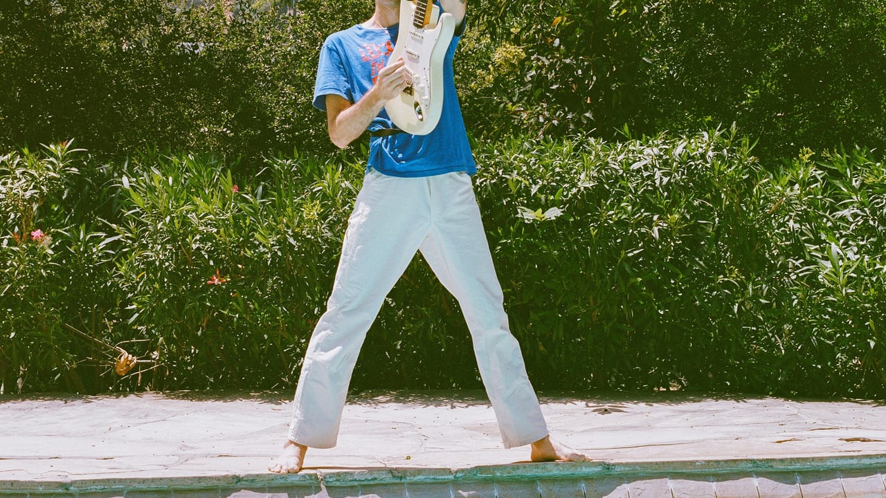 Delicate Steve