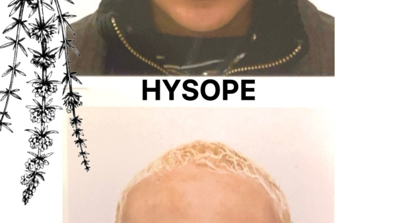 Hysope