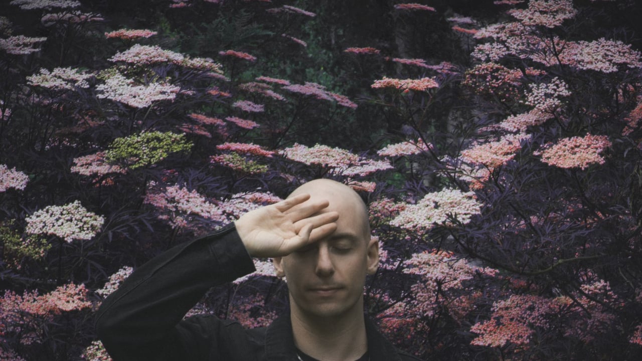 Palms Trax