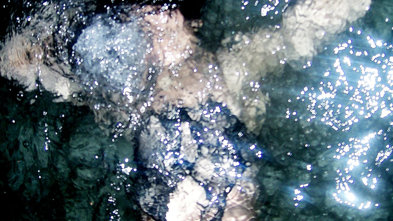 Arca