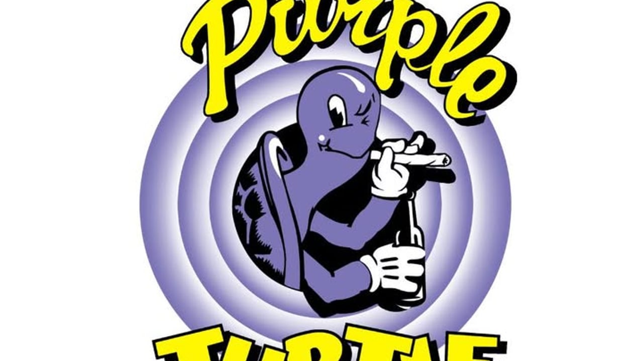 Purple Turtle
