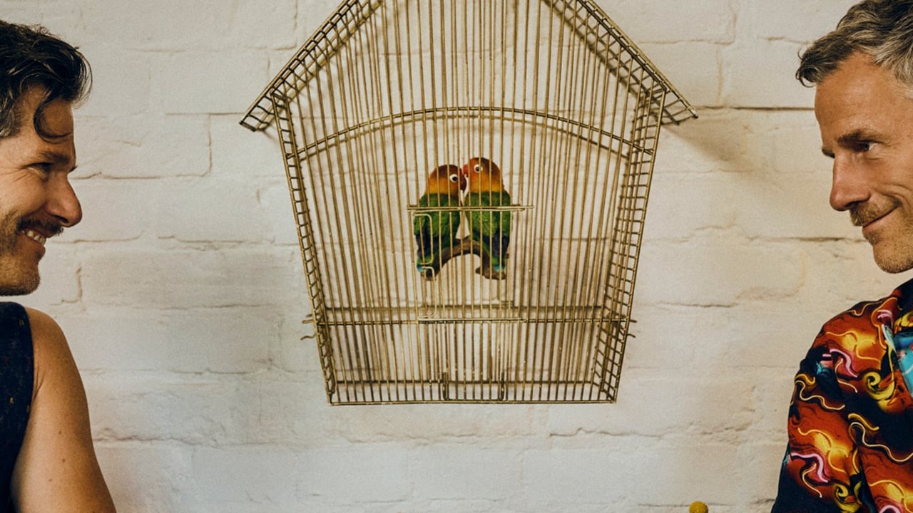 Lovebirds