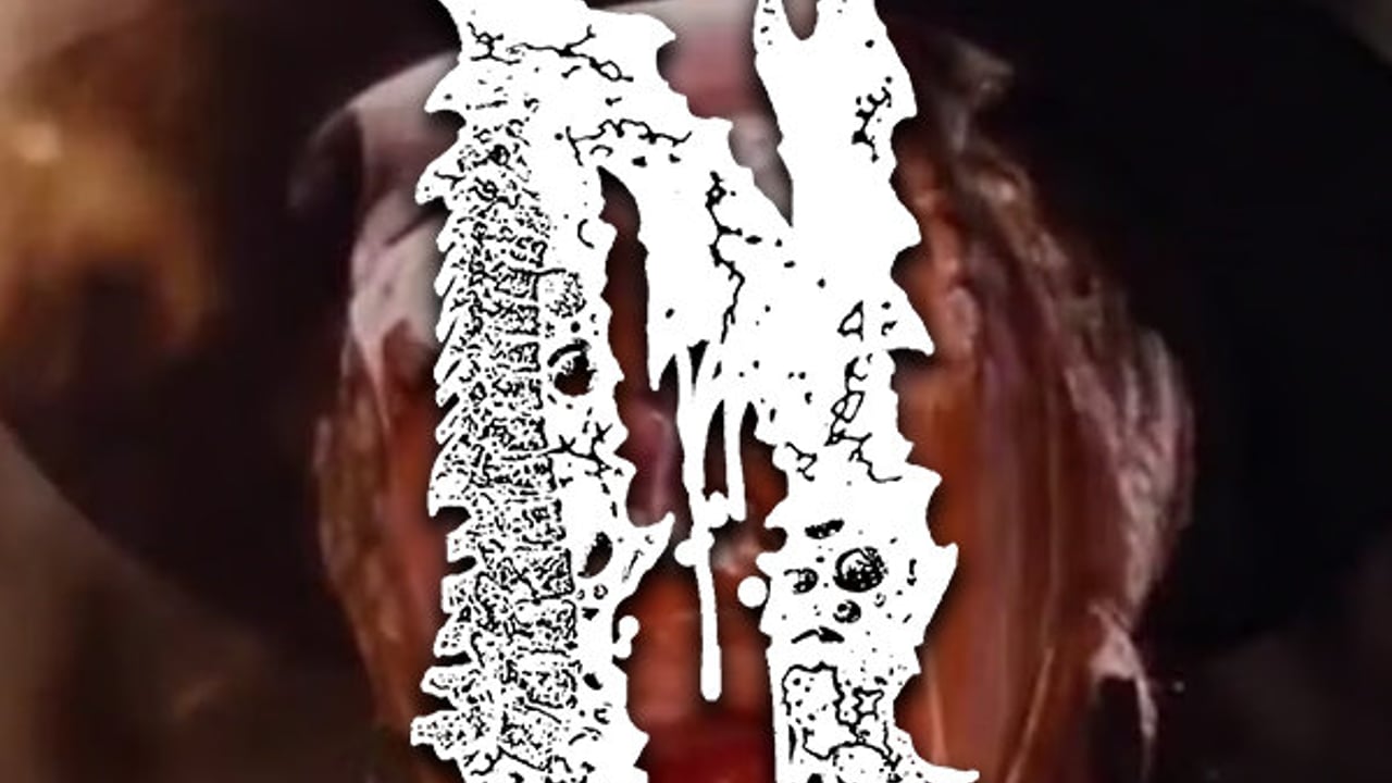 Necrobiome