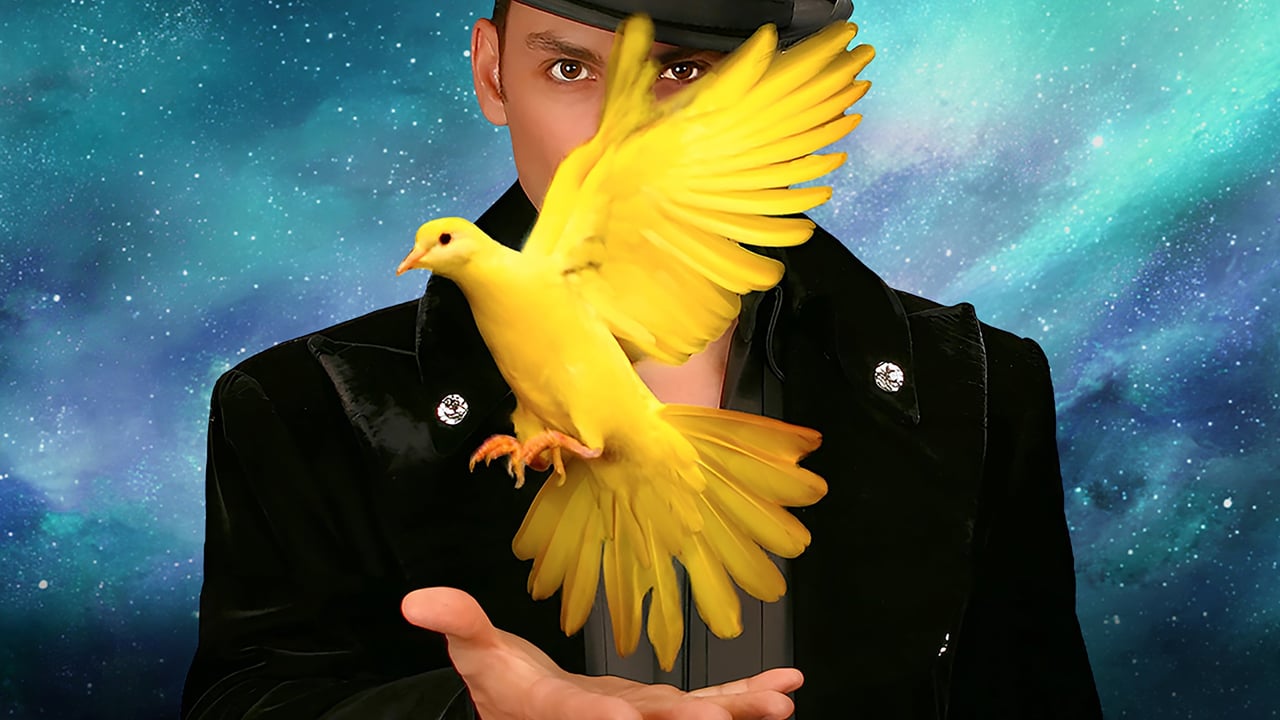 Allstars of Magic