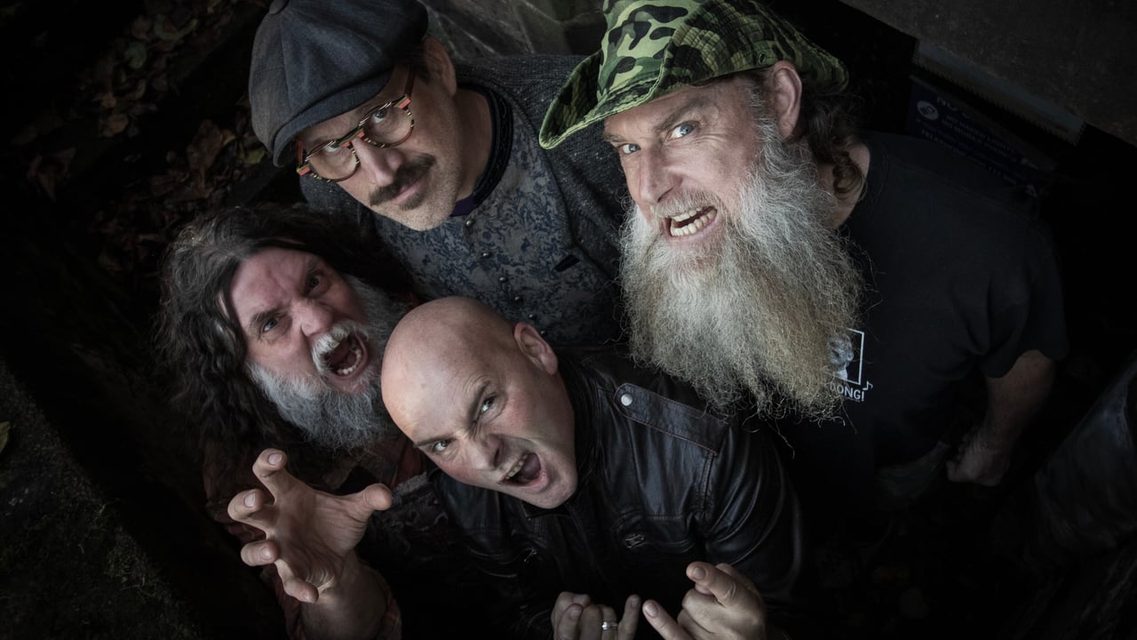 Hayseed Dixie
