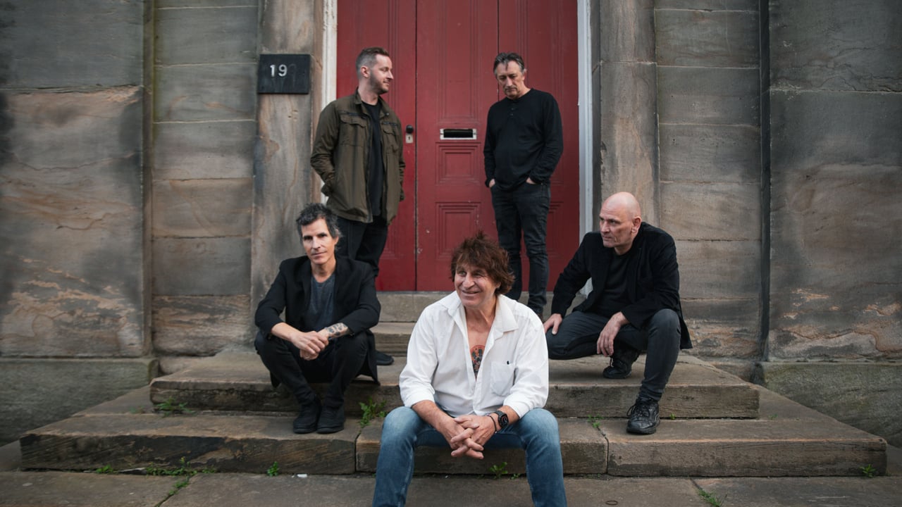 The Chameleons