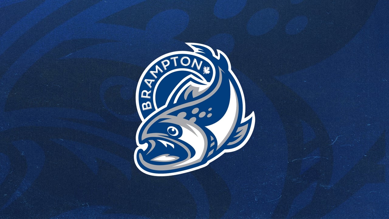 Preseason | Brampton Steelheads v Guelph Storm
