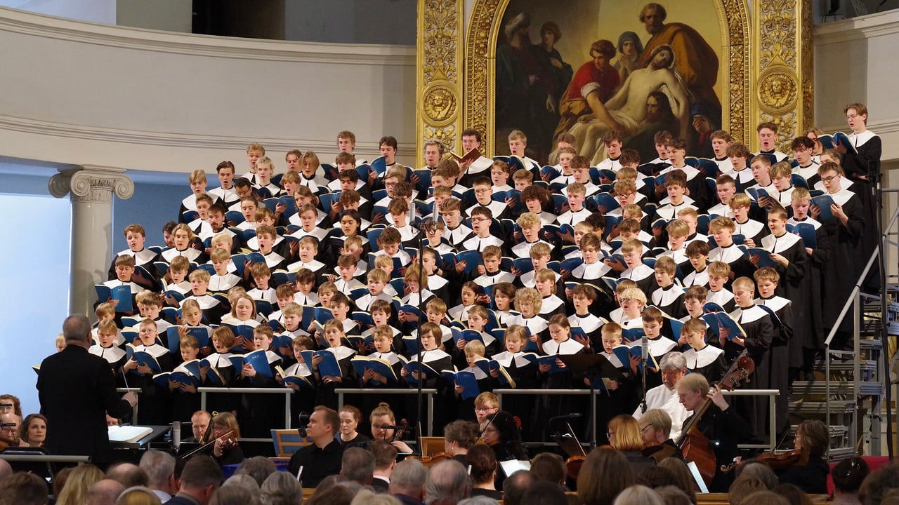 4. Itämeren ja Pohjolan pk-festivaali - Cantores Minores