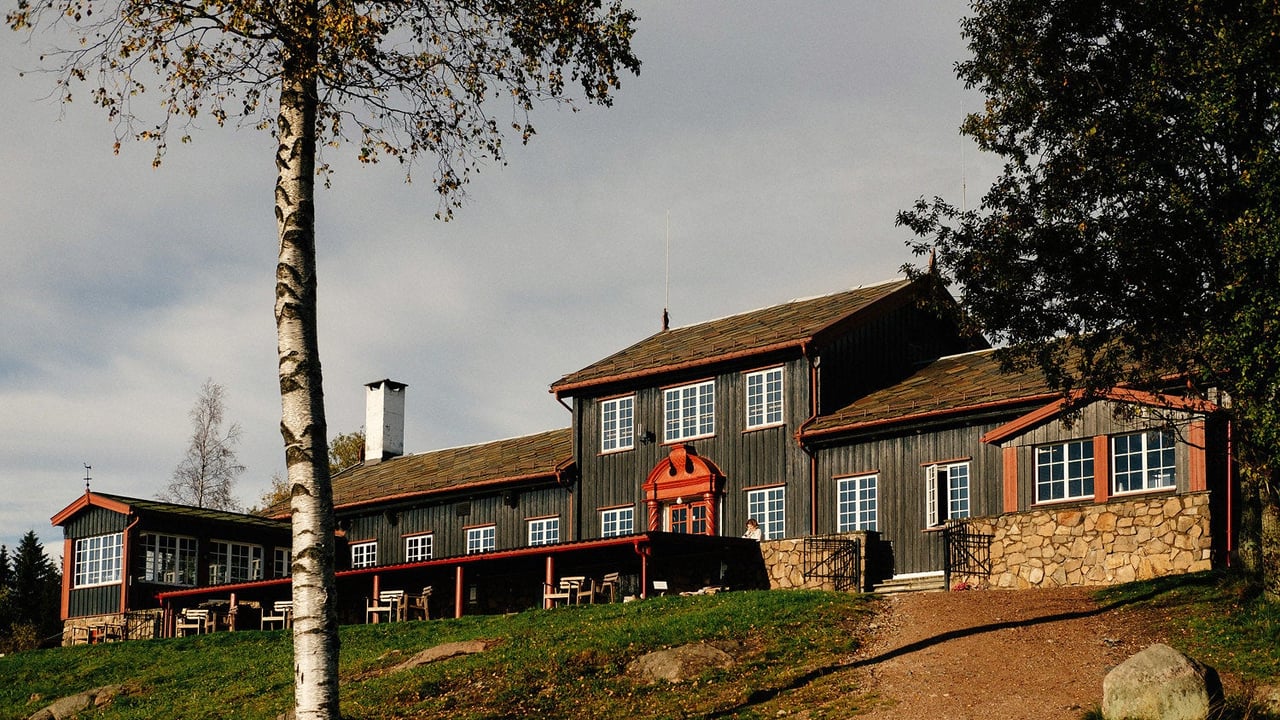 «Mine rovdyrmøter» – foredrag med Roger Brendhagen