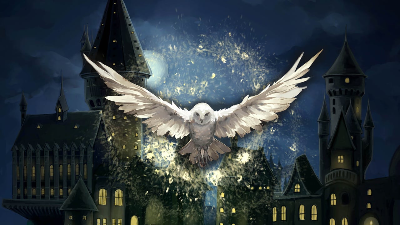 HOGWARTS MAGIC SYMPHONY