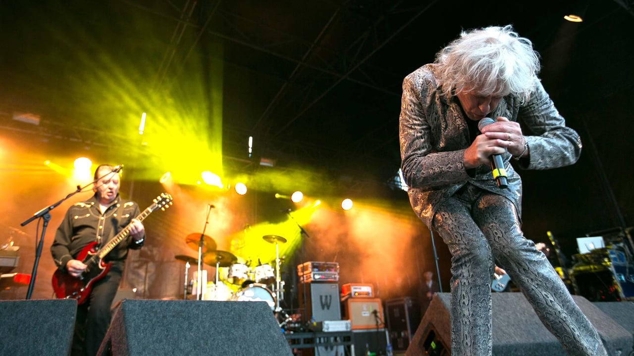 Boomtown Rats In Concert