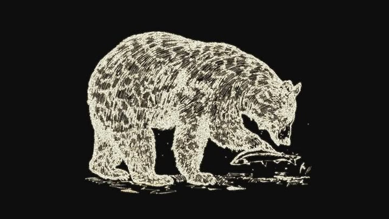 Black Bear Lodge