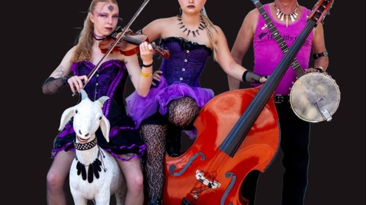 The Hillbilly Goats