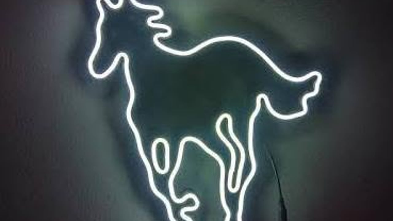 White Pony Perth
