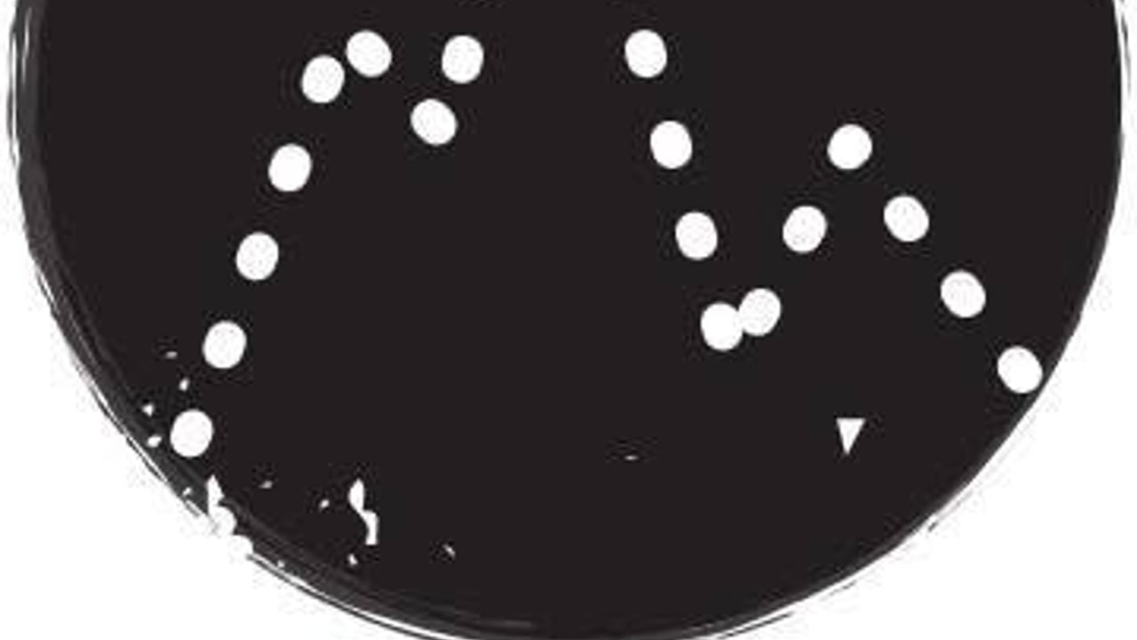 False Peak Records