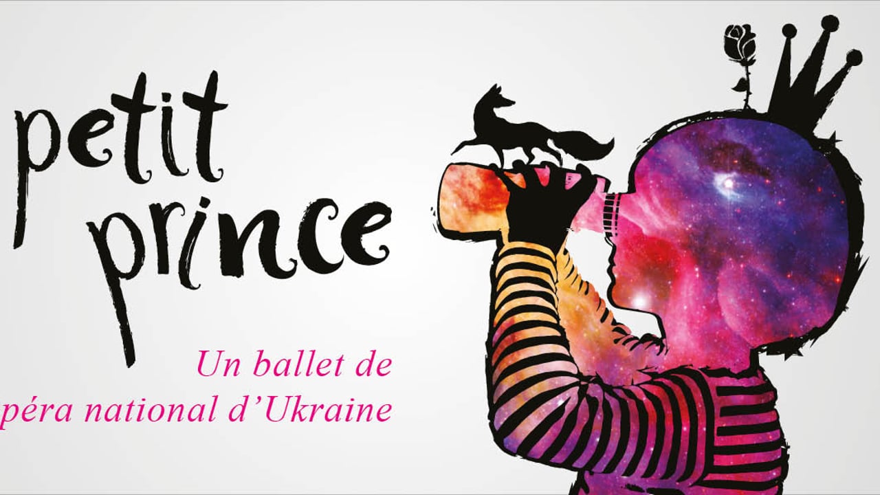 LE PETIT PRINCE