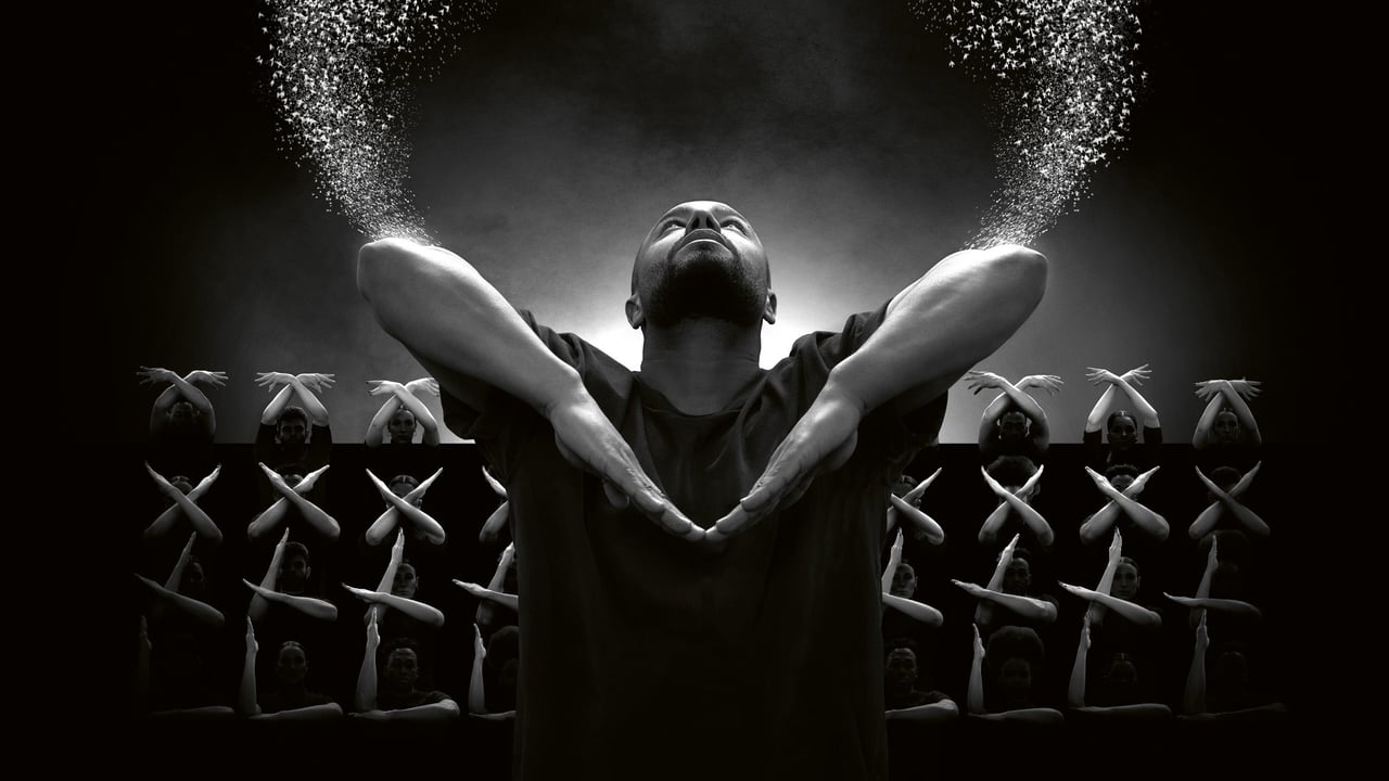 MURMURATION