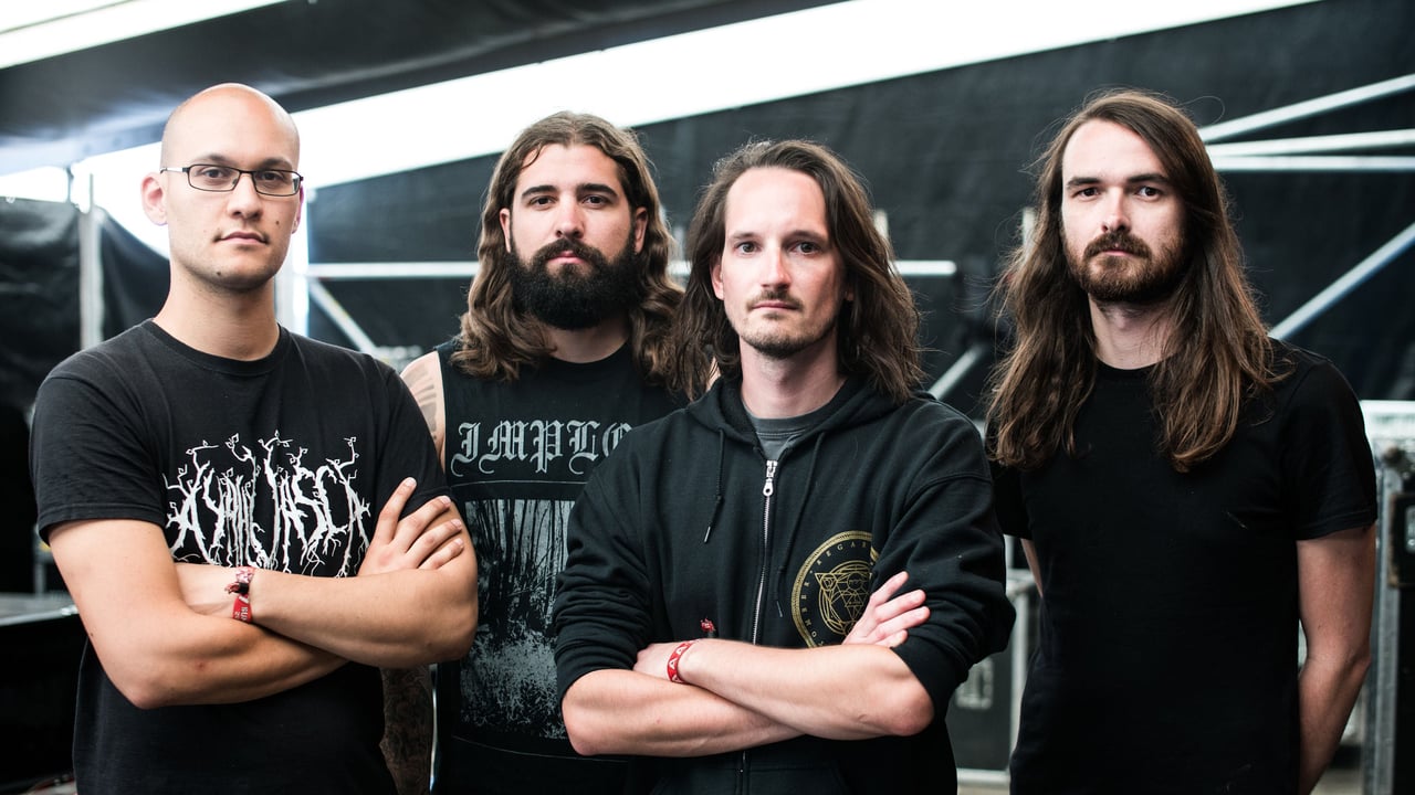 DER WEG EINER FREIHEIT