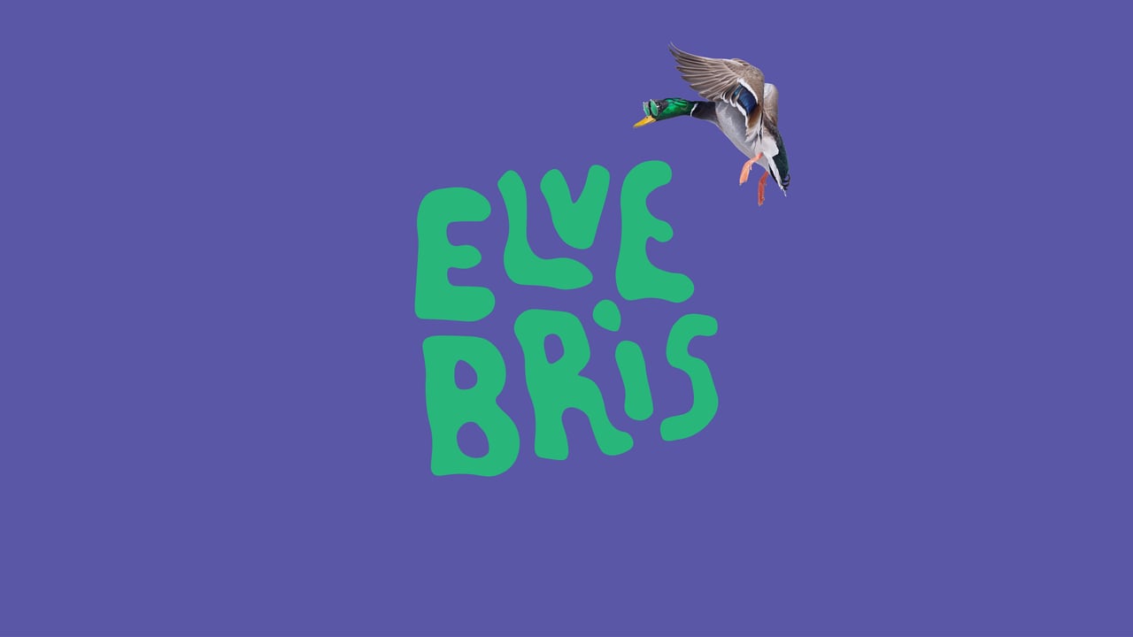ELVEBRIS 2027 - FESTIVALPASS