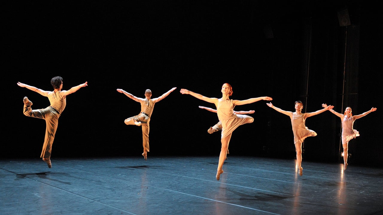 LE LAC DES CYGNES - BALLET PRELJOCAJ - LE LAC DES CYGNES