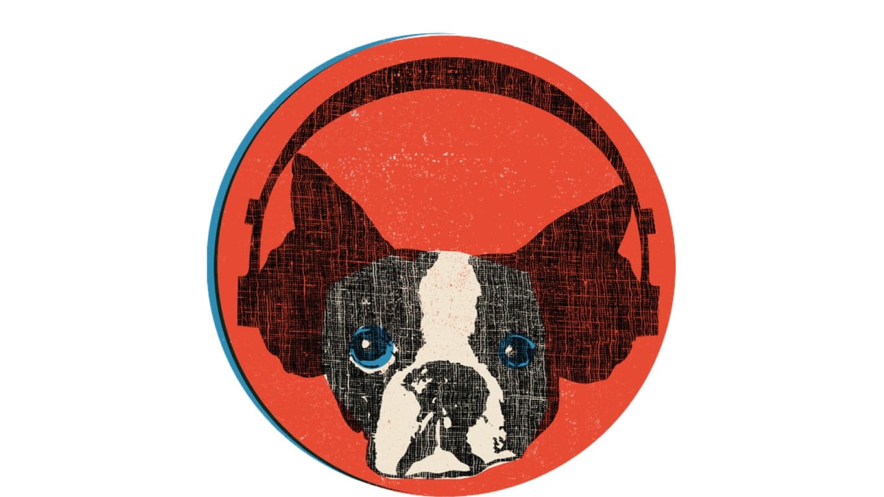 Snarky Puppy
