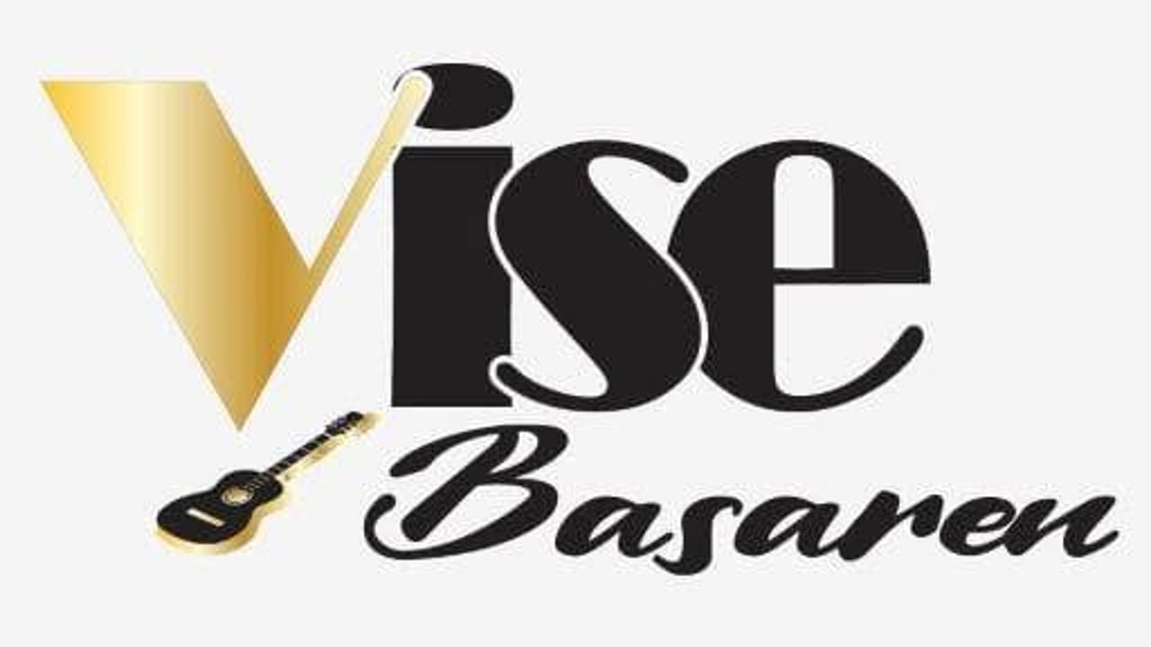ViseBasaren