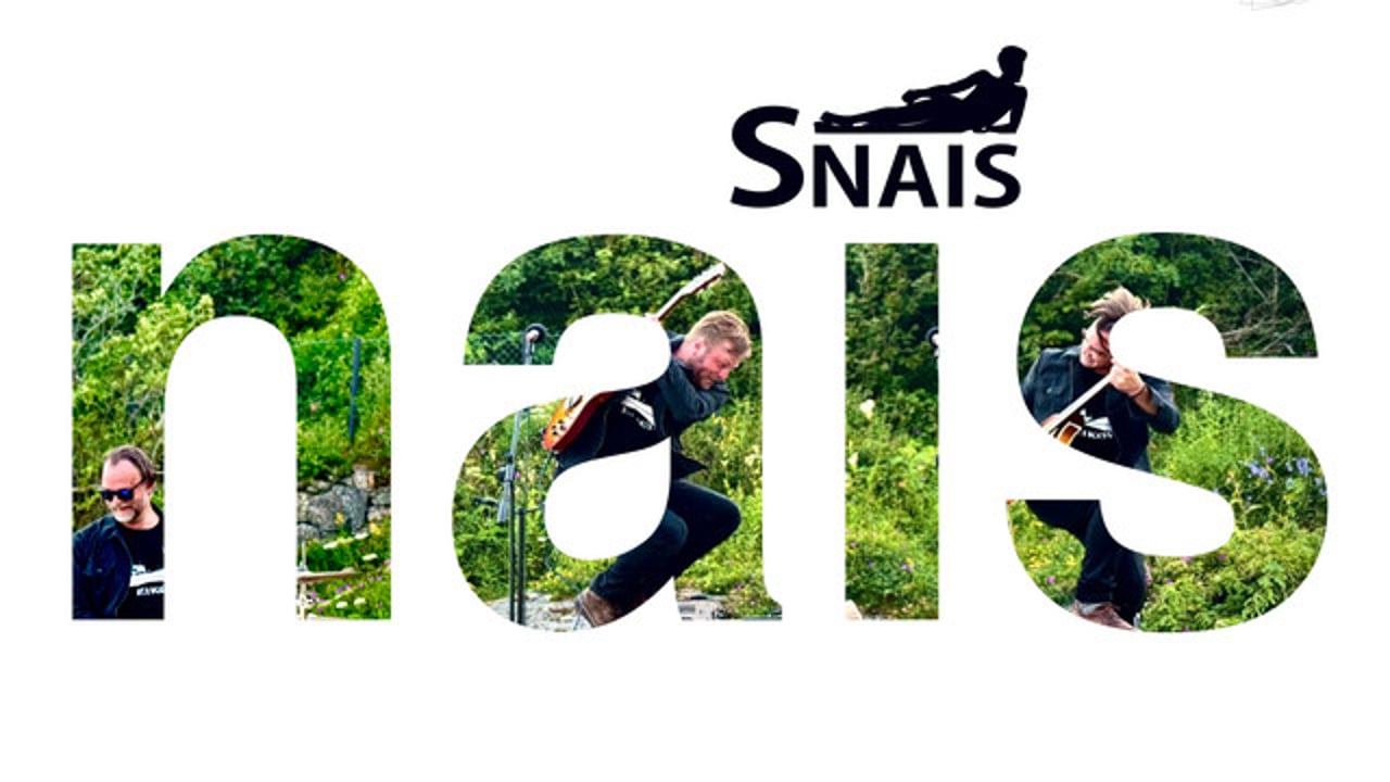 Snais
