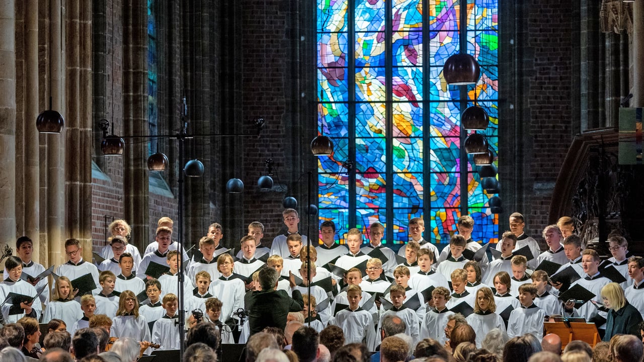 Knabenchor Sure on This Shining Night - Sommerkonzert