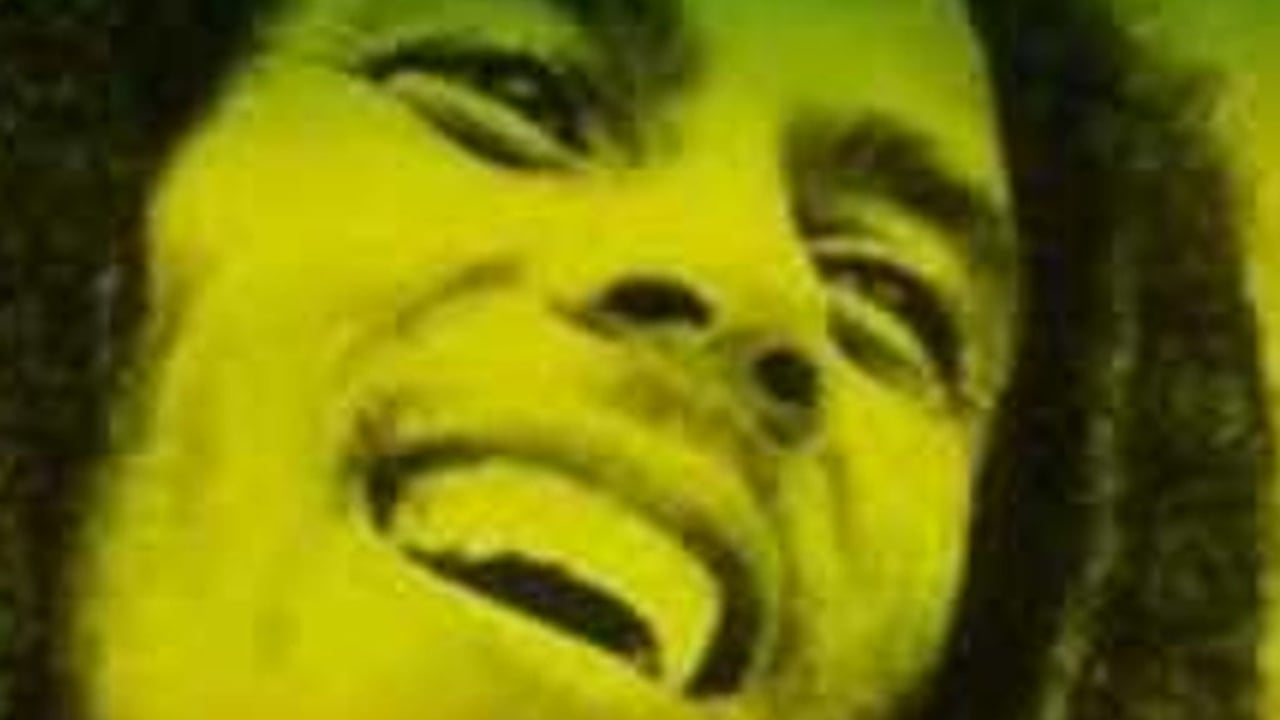 Bob Marley & the Wailers by Legend