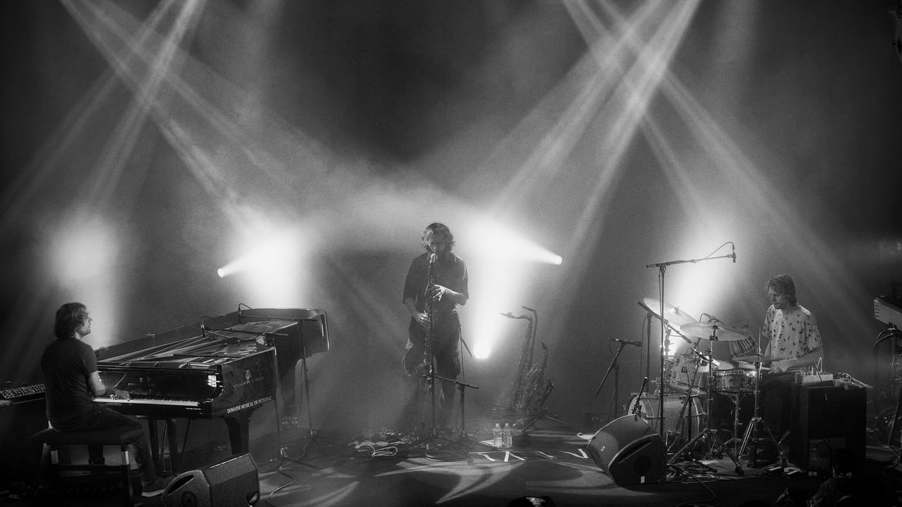 MAMMAL HANDS   1ERE PARTIE